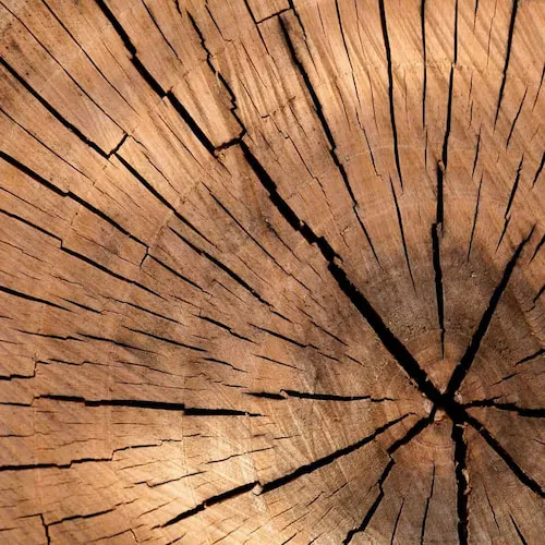 wood