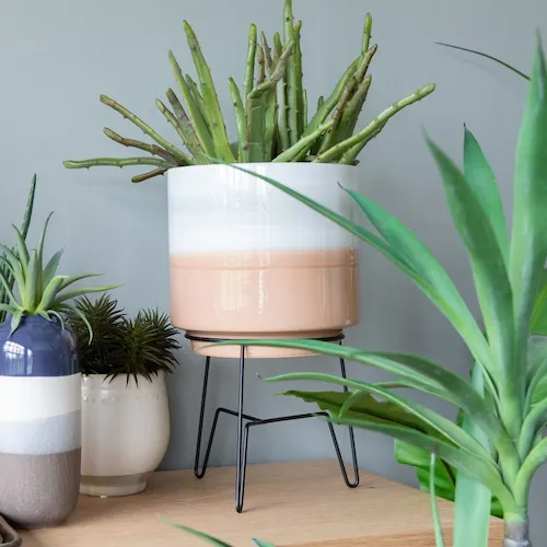Veda plant pots with green plants from EZ Living Furniture.