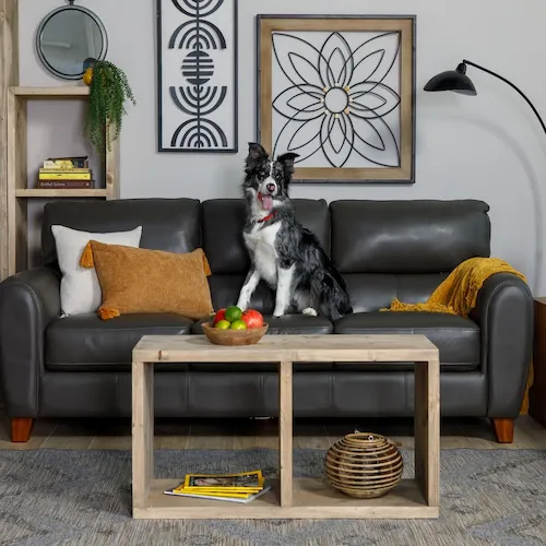 Alfredo grey leather sofa from EZ Living Furniture with dog.