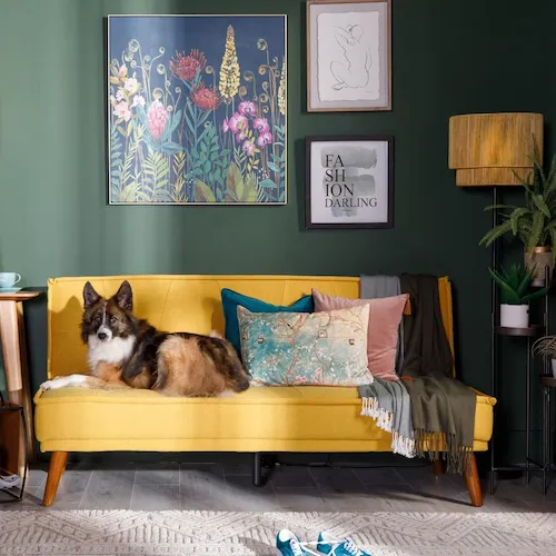 Seattle mustard sofa bed from EZ Living Furniture with dog.