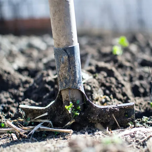Shovel in soil.