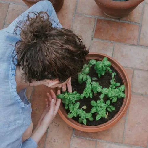 woman plant in pot plants.