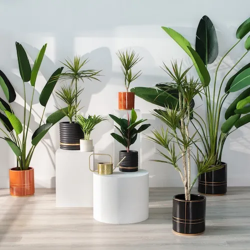 Selection of Artificial Plants at EZ Living Furniture.
