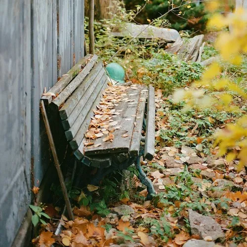 Old garden bench